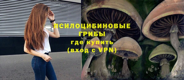 молекула духа Беломорск