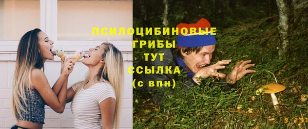 молекула духа Беломорск