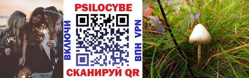 KRAKEN ссылка Кстово Псилоцибиновые грибы MAGIC MUSHROOMS